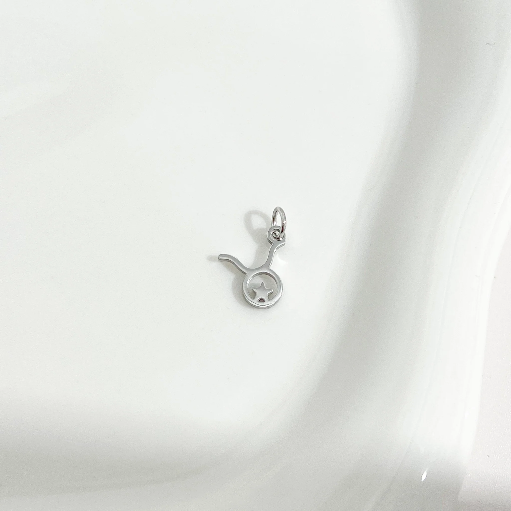 Dainty Zodiac Silver Necklace - Image 11