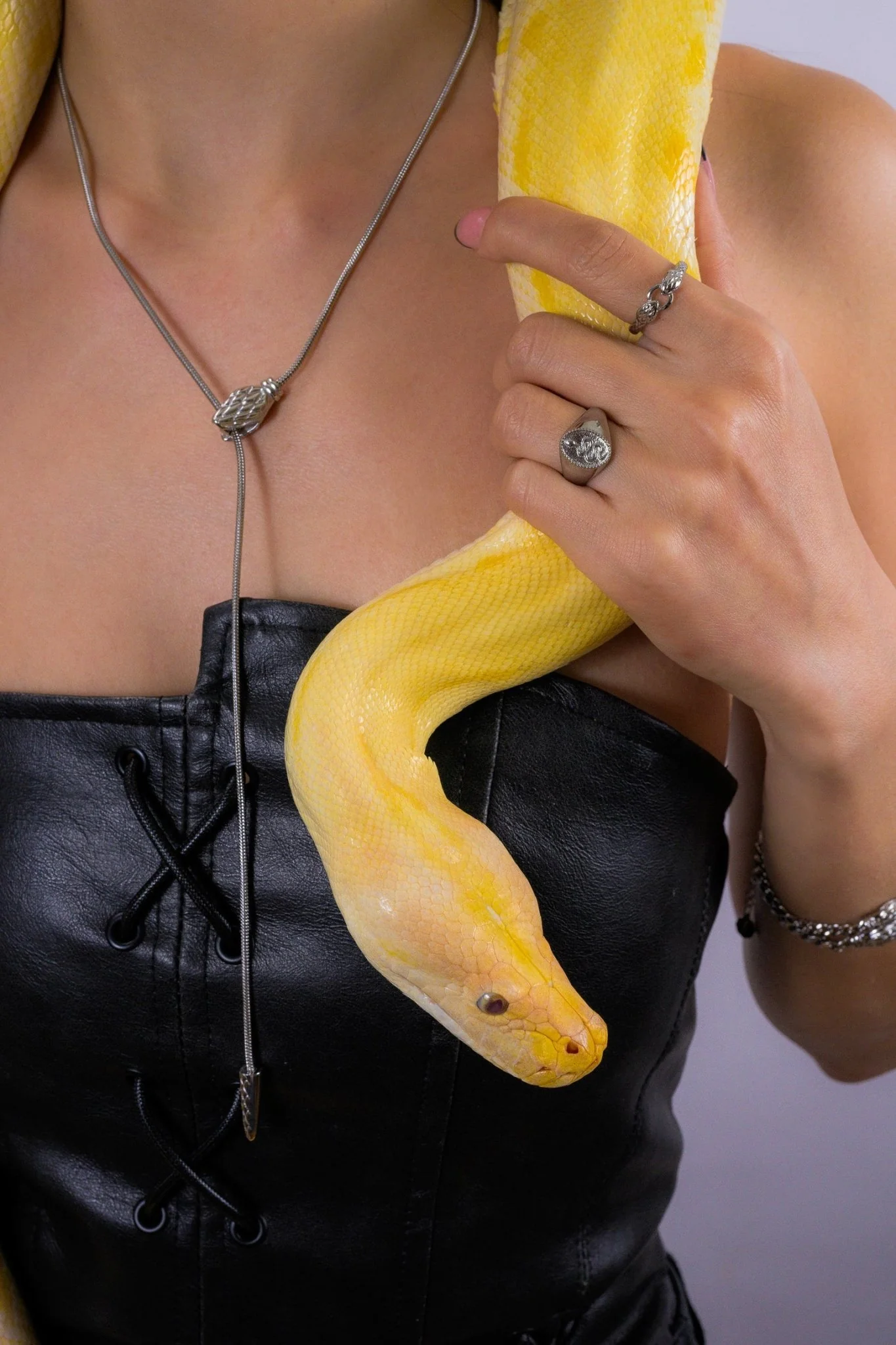 Geometric Snake Lariat Necklace - Image 5