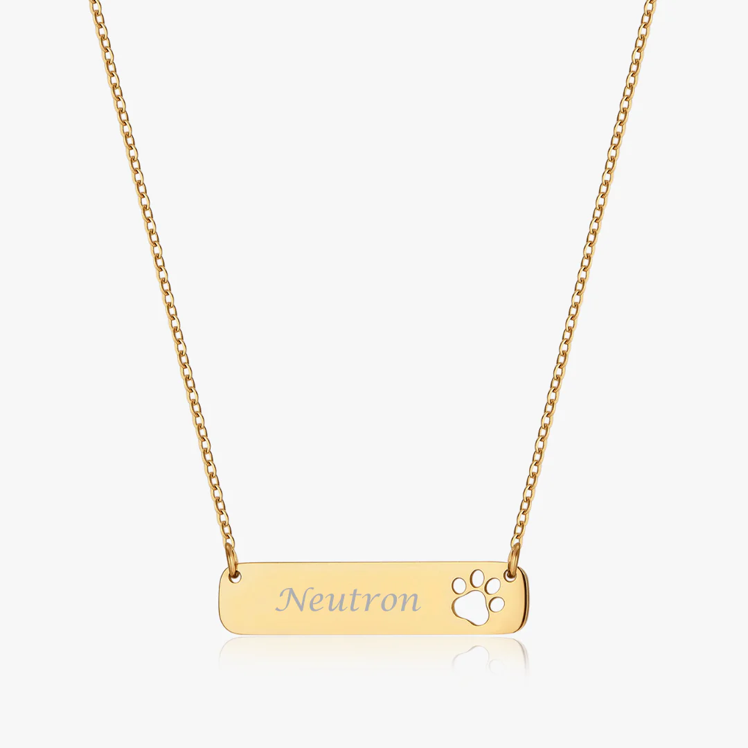 Paw Horizontal Bar Necklace (Pawsitive Change Collection) - Image 7