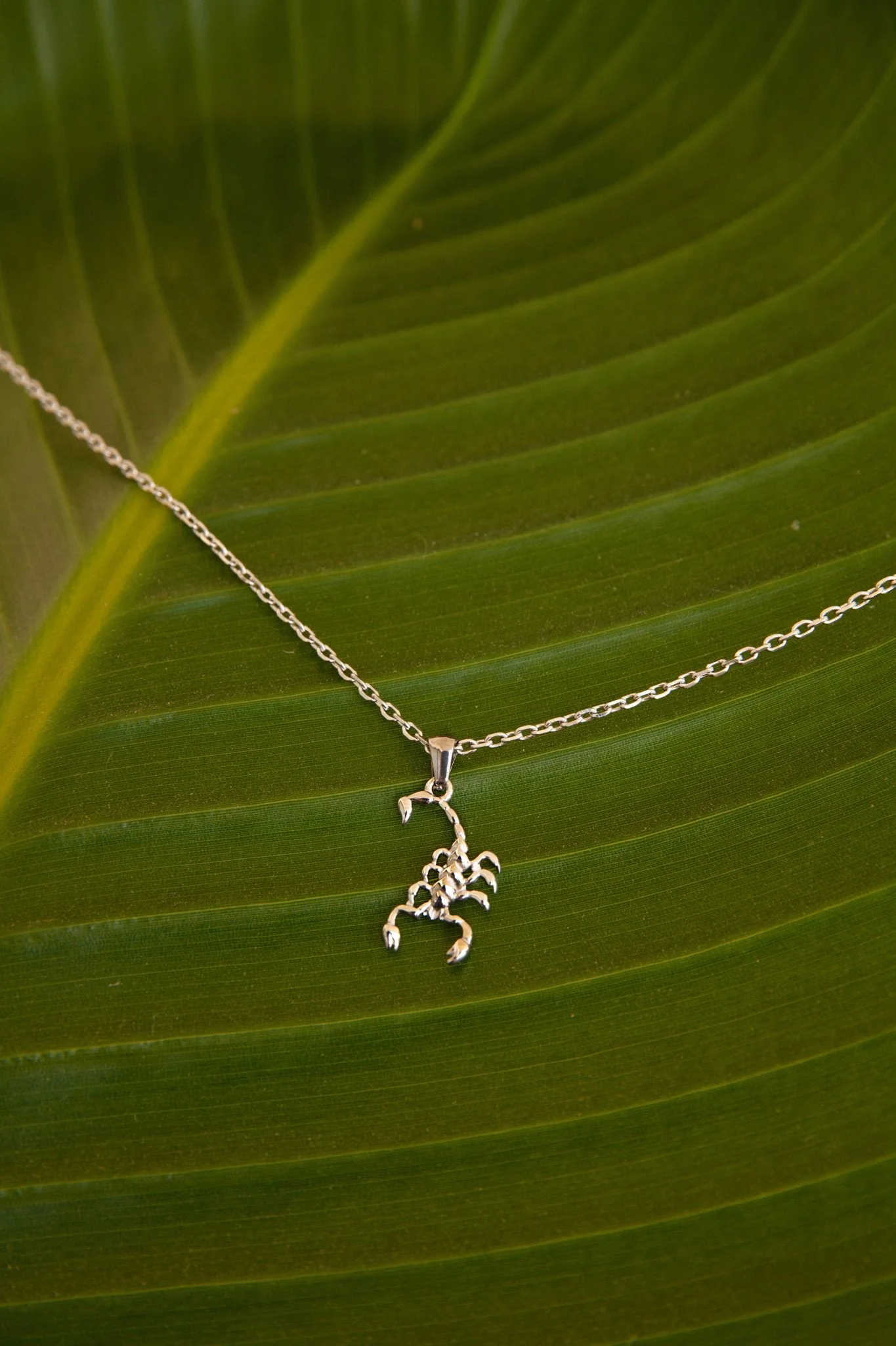Scorpion Necklace (Unisex) - Image 5