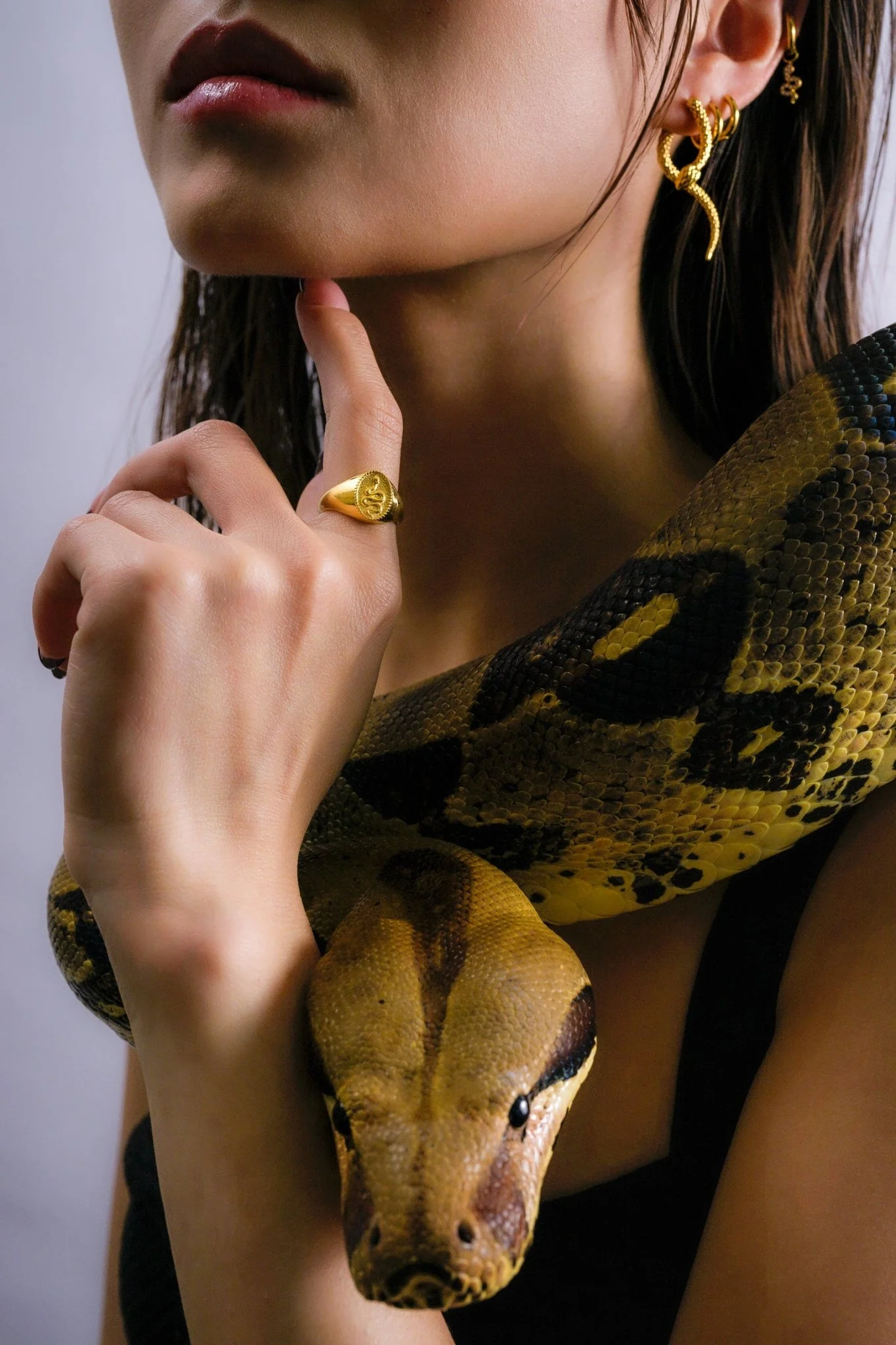 Snake Signet Ring - Image 6